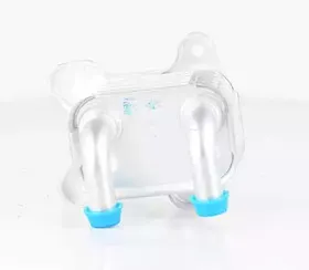 BSG 65-506-002 BSG масляный радиатор, двигательное масло